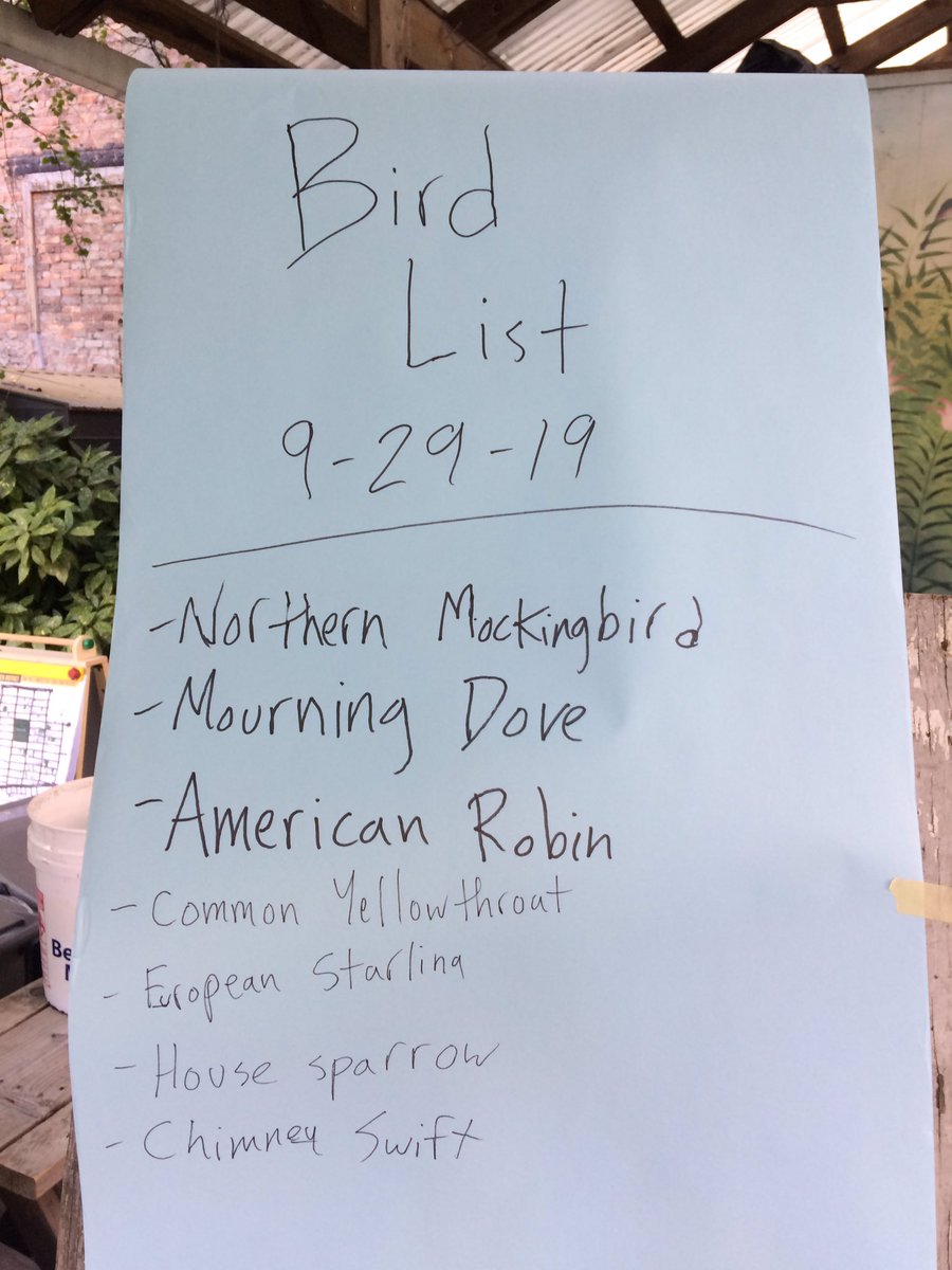 WSPEcoProjects's tweet photo. Birds, bees, butterflies, and bugs ruled the conversations @6BGarden yesterday. We brought bird and wing specimens. And led a bird count (COYE, NOWA, and RTHU not listed). Reach out if you'd like us to bring #EXPLOREBIRDS to you.

#biodiversity #birding #nyc #communitygardens https://t.co/xlLHzP4TpT