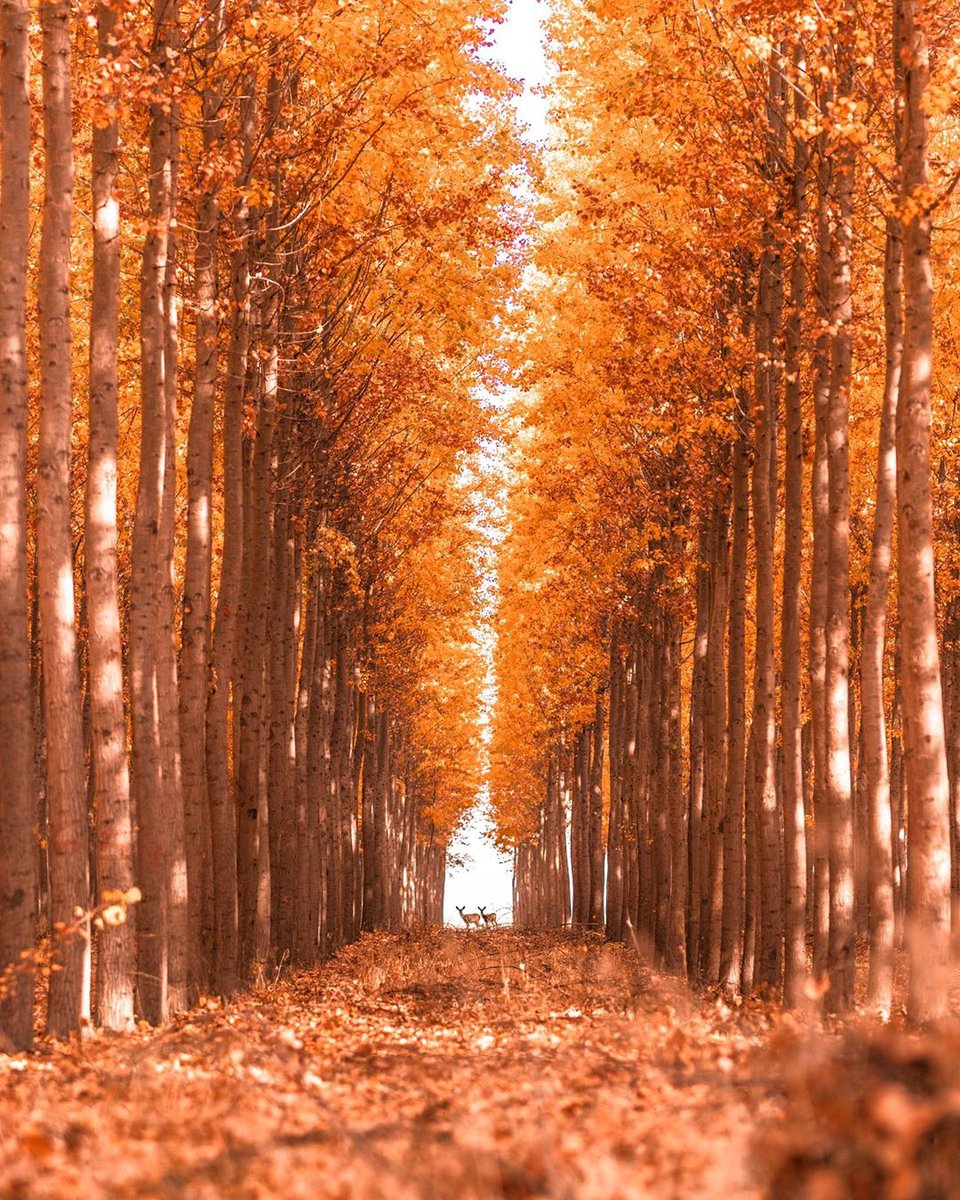 EarthPix photo