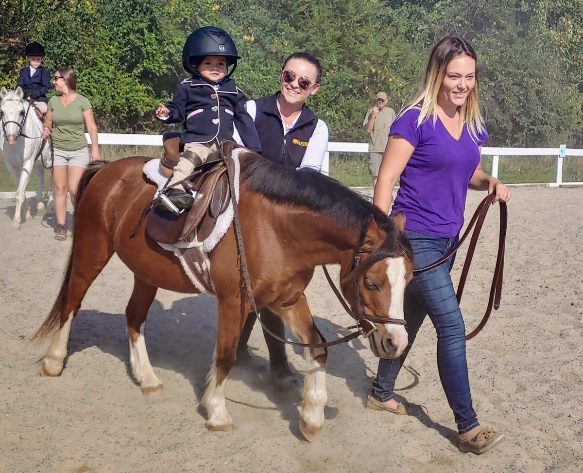 ToothyTisha's tweet photo. Cuteness overload...π
#leadline #figginsracing https://t.co/tvkYPmEBEf