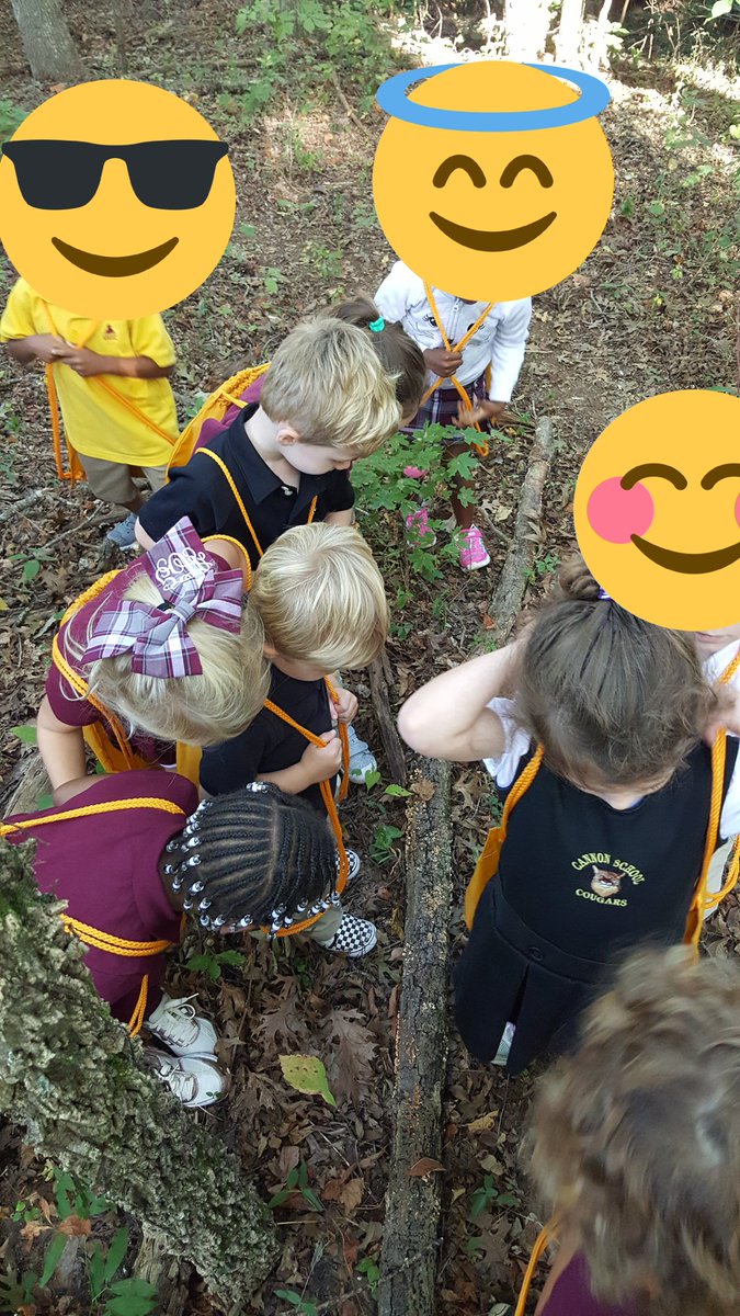 RendiPowers's tweet photo. @OutwardBoundUSA @RendiPowers @CannonSchool @fabhurt71 @OutwardBoundNC
We incorporate nature at least once a week, calling it Forest Friday.  Here children are identifying fungus.  At the last part of our investigating, we all found a spot to have a solo experience to draw the fungus we saw. https://t.co/tyE5kEpP7n