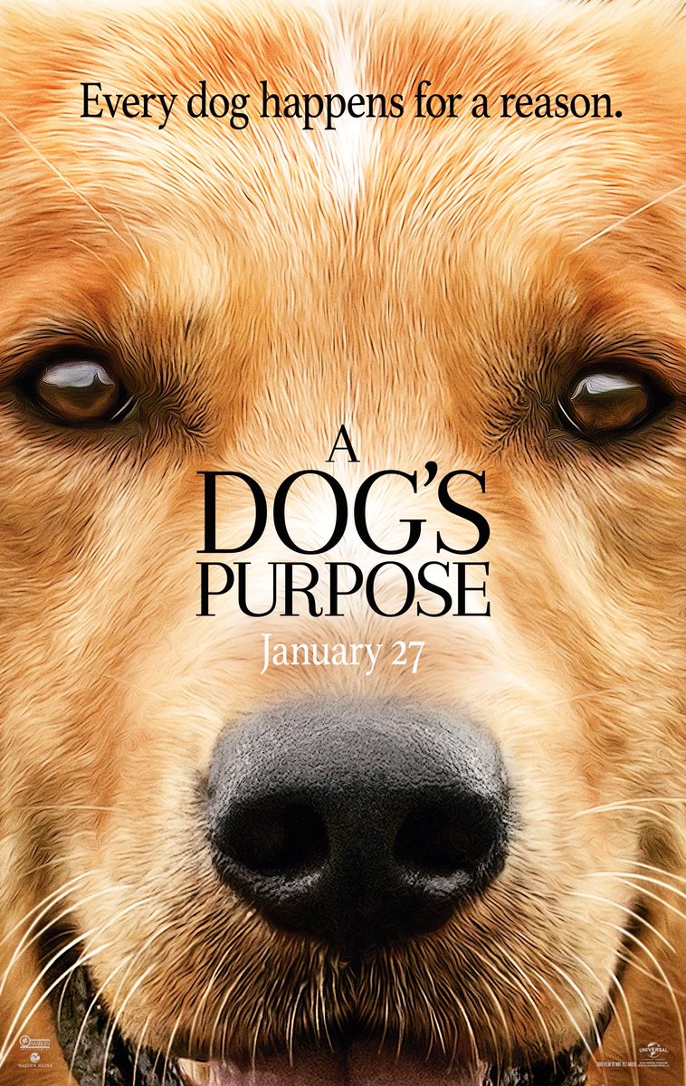 A dogs purpose