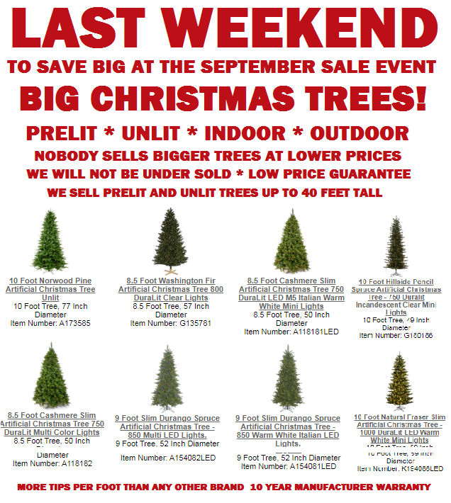 ChristmastopiaI's tweet photo. Last Weekend To Save Big Christmas Trees, Lights, Outdoor Decorations September Sale Event

https://t.co/v28aT9jB0n

#sale #september #stringlights #holidaydecorating #holidaydecorations #Halloween #Halloweenlights #Halloweendecorations #coupons https://t.co/wRHGKGvNi4