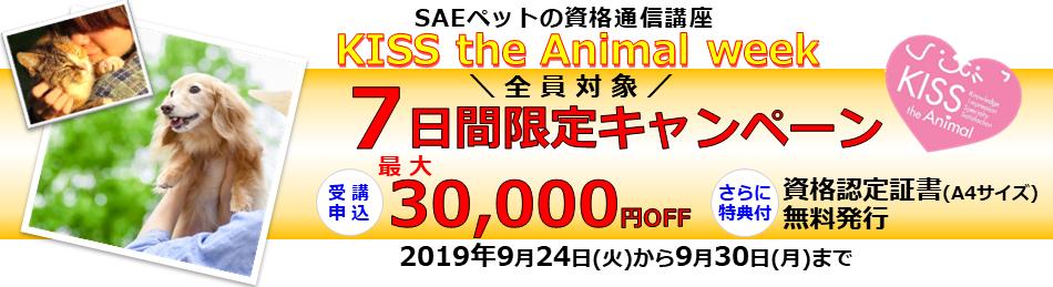 最高かつ最も包括的な全日本 動物 専門 教育 協会 すべての動物画像