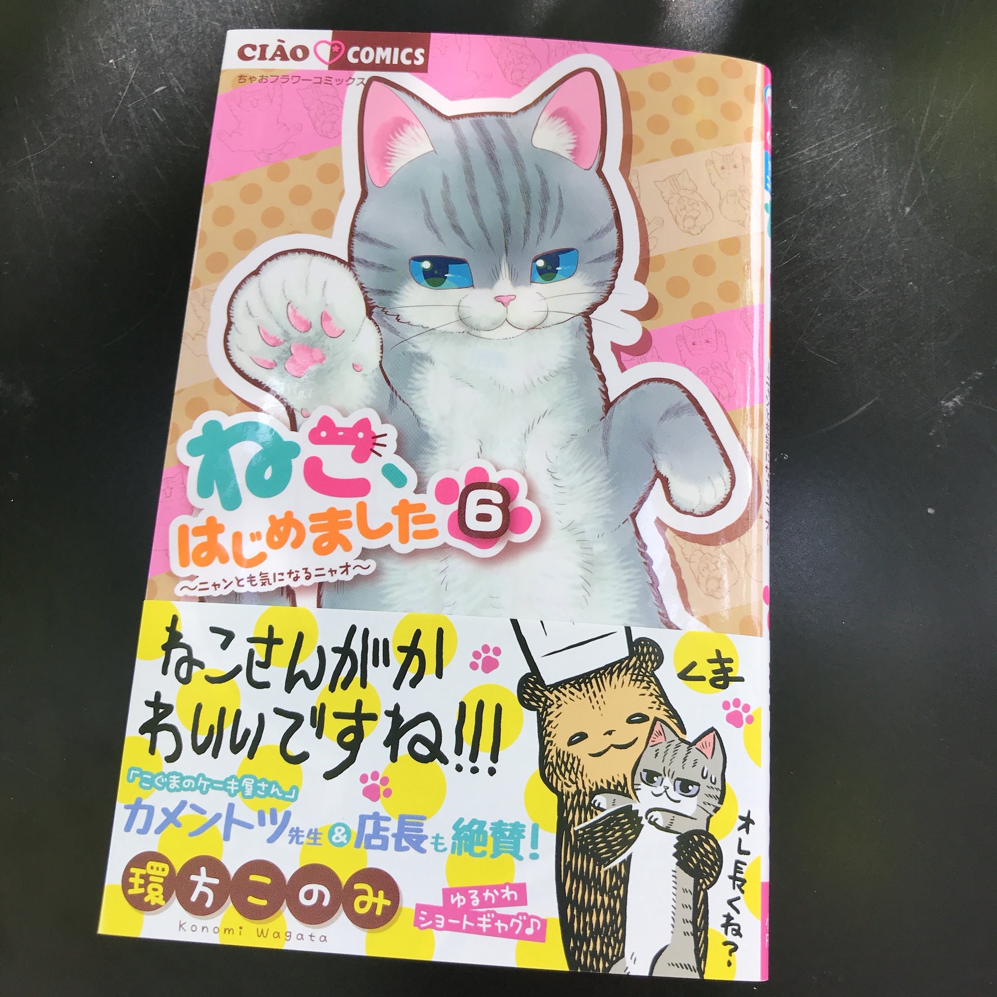 O Xrhsths ちゃお編集部 Sto Twitter 環方このみ先生 ねこ はじめました 6巻になんと カメントツ先生から素敵すぎる推薦イラストコメントいただきました ありがとうございます 環方先生描き下ろしのスペシャルコラボ番外編 可愛すぎて必見です