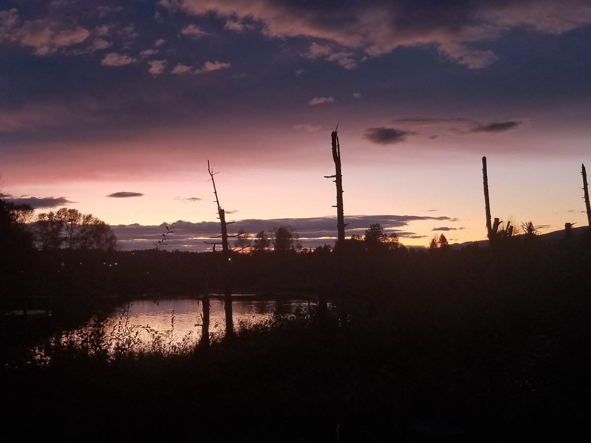 Nancy_McCurrach's tweet photo. We really do live in a beautiful city. Purple and pink sunset tonight! So pretty! @CityofPoCo ! #naturallypoco #blakeburnlagoons @GlobalBC #explorebc https://t.co/librruoHOU
