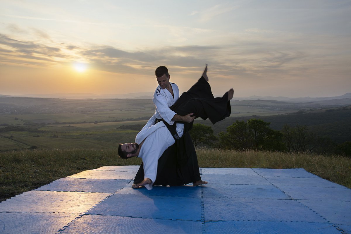 bede fængsel Tilbagebetale AIKIDOARTS on Twitter: "Aikido & nature photo series "To practice Aikido  fully you must calm the spirit and go back to the origin." Morihei Ueshiba  - founder of aikido #aikido #budo #tutorial #