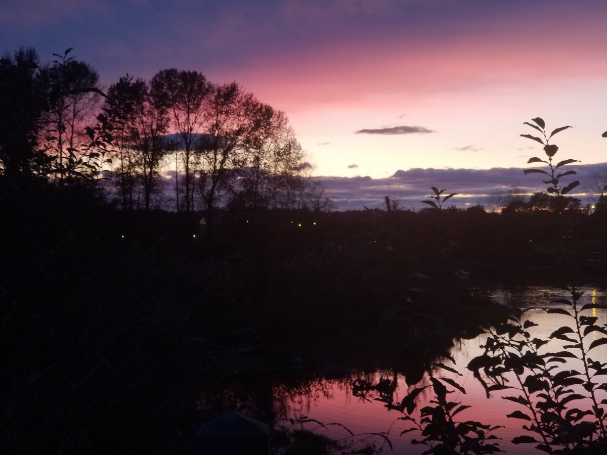 Nancy_McCurrach's tweet photo. We really do live in a beautiful city. Purple and pink sunset tonight! So pretty! @CityofPoCo ! #naturallypoco #blakeburnlagoons @GlobalBC #explorebc https://t.co/librruoHOU
