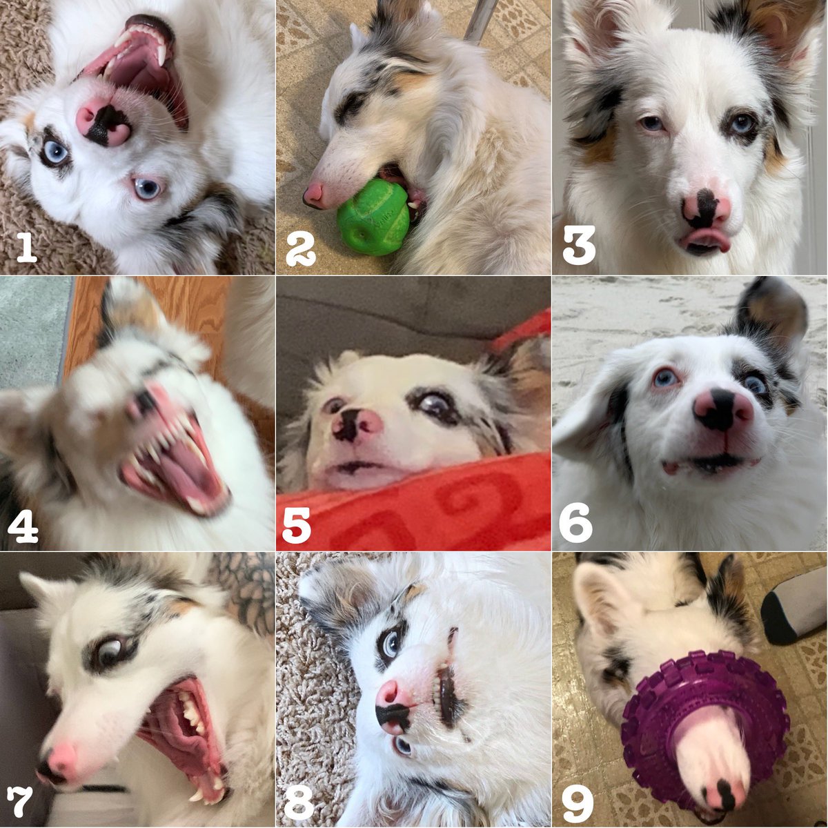 It’s time for a Zira mood board. 
Which one are you today?
