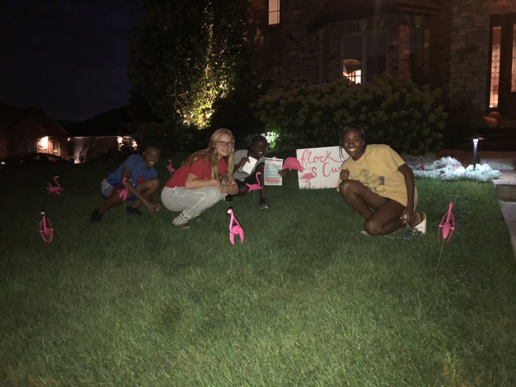 mayablack18's tweet photo. took the sibs on their first flock!! #numba5 #flockforacure 💓🌟🤩@danielle_gibs0n @high_glenwood @Channel1450com https://t.co/g9ACauhAWi