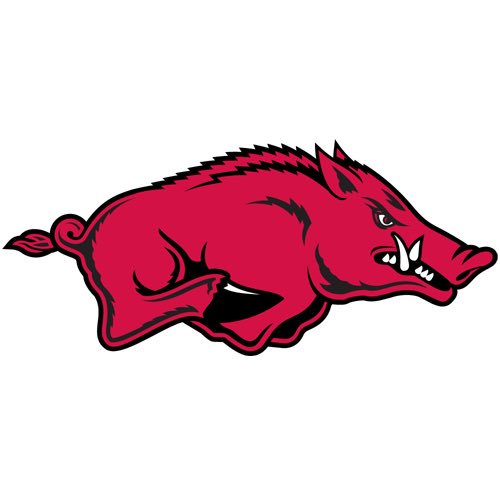 AbbyGordon21's tweet image. super excited to announce that I have committed to the University of Arkansas to further my academic  and softball career! thank you to my coaches, family, and friends for making this possible. go hogs 🐗❤️
