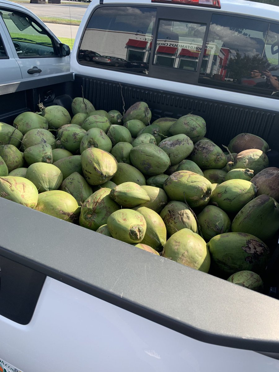 MrsPHoller's tweet image. My son, Jackson, said that we found the guy from all those math problems. I concur. Where does one actually get this many coconuts in North Carolina 🥥 🌴? #coconuts #MathWordProblems #MathProbs