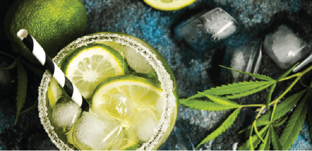 Our all new "Chronic &amp; Cocktails" Tour is quickly becoming one of our most popular.  We teamed up with Rocky Mountain High near the distillery tour by <a href="/milehighspirits/">Mile High Spirits</a> to create an all new downtown Denver experience!

Book Now:  bit.ly/2ZBDNiy