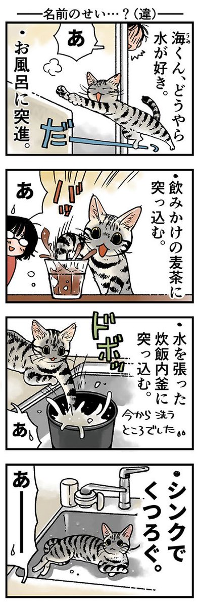 「名前のせい…?(違)」
床に濡れた肉球あとがたくさんついてます…(汗)
(山野りんりんさんの「猫まみれライフ」)他1話です。⇒( 