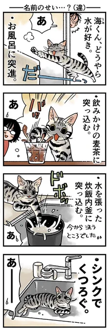 「名前のせい…?(違)」
床に濡れた肉球あとがたくさんついてます…(汗)
(山野りんりんさんの「猫まみれライフ」)他1話です。⇒( 