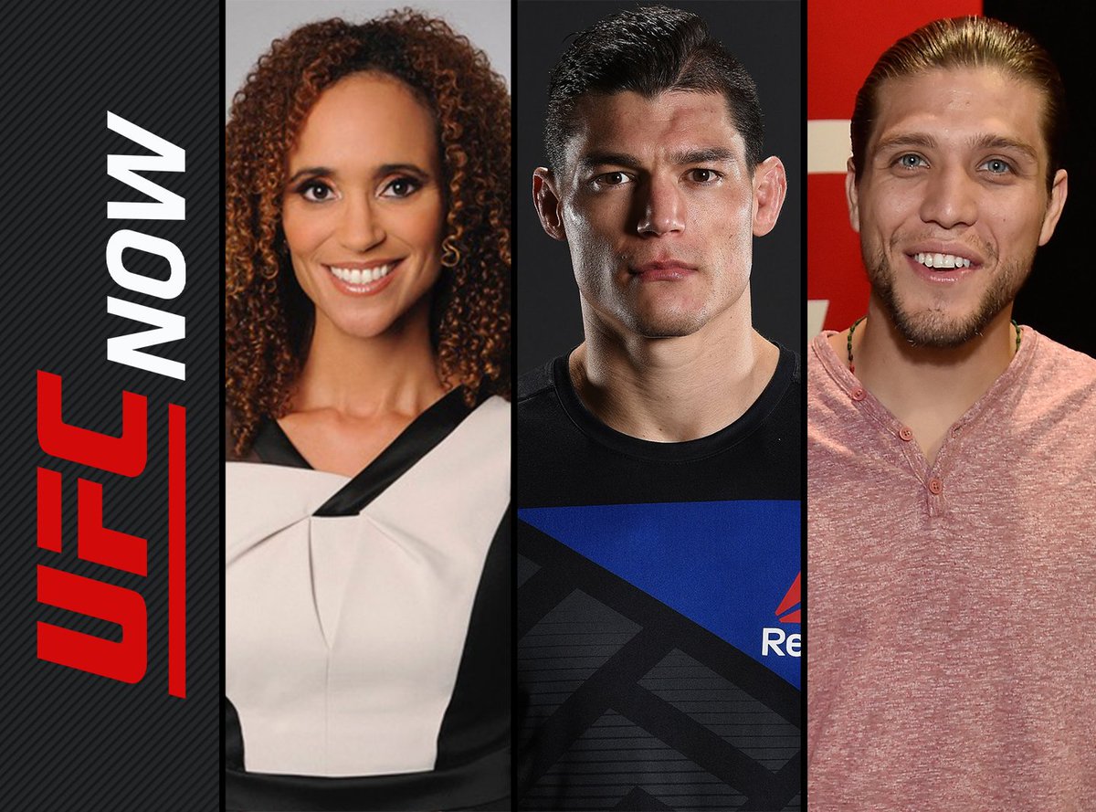 UFC Now tweet media