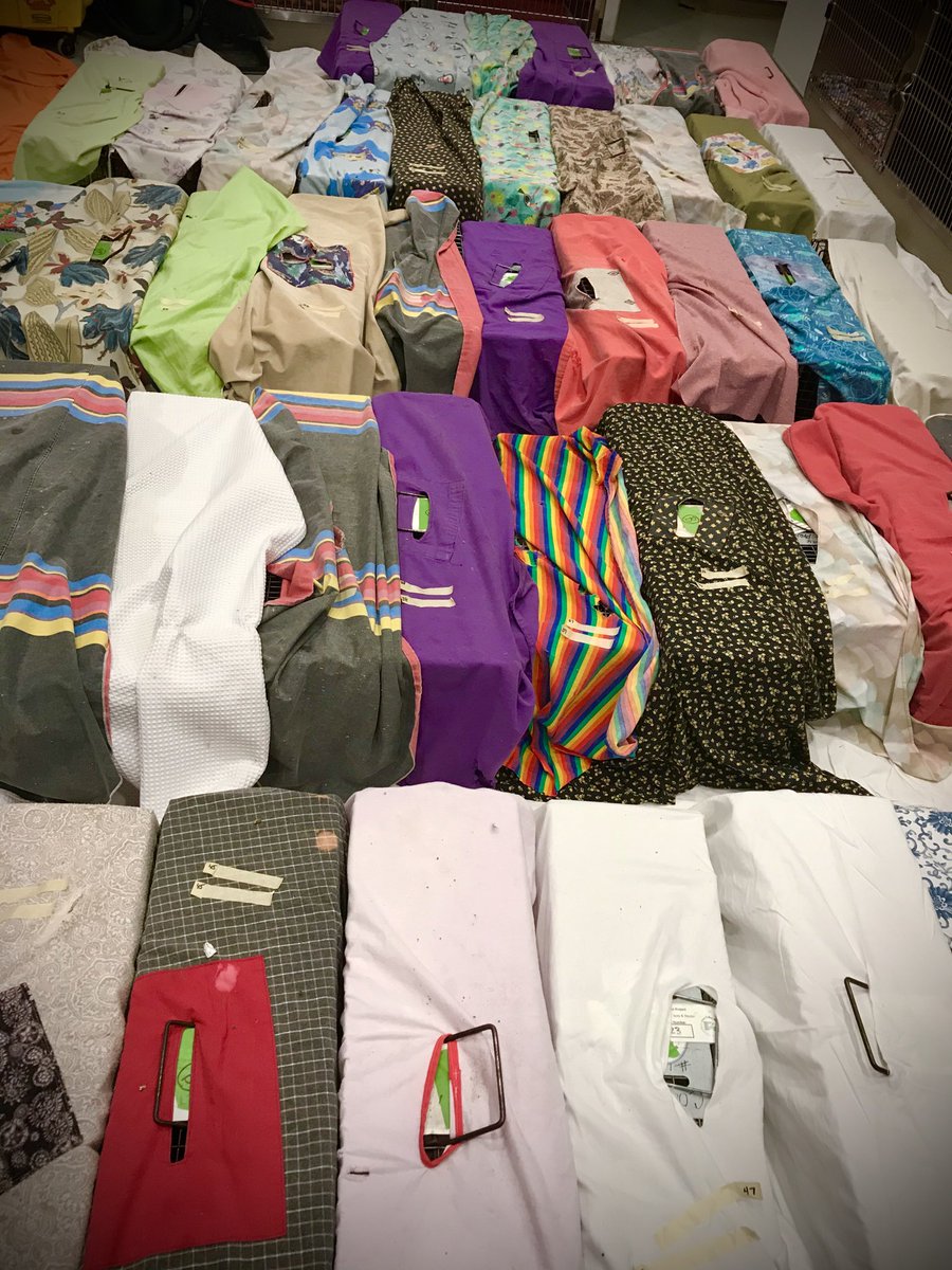 Bend Spay+Neuter tweet media