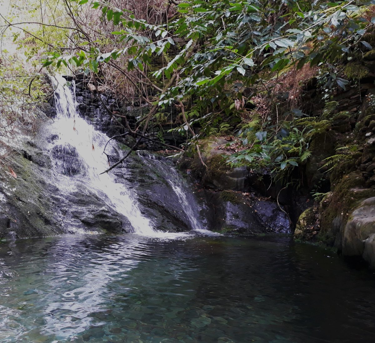 diana_therose's tweet photo. #FragadaPena #SerradoAçor #Coimbra #Arganil #Portugal #Europe #travelphotography #trip #travel #traveling #travelgirl #cascata #fraga #waterfall #cascade #ancientplaces #nature #naturelovers #aldeiasdexisto #aldeiasdeportugal #lifestyle #adventure #xisto #schist #forest #water https://t.co/U537cs8pF0