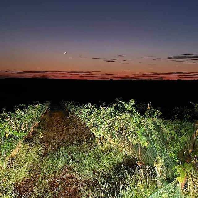 Gotta love those #hillcountrysunsets! ift.tt/2nJhFBA