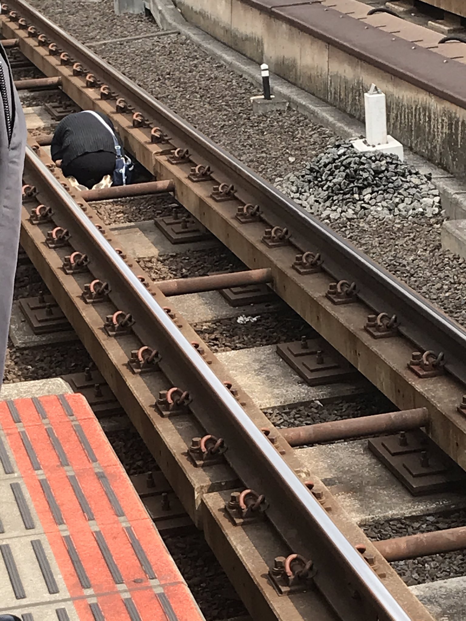 横浜駅でおばさんが線路内にうずくまっている現場の画像