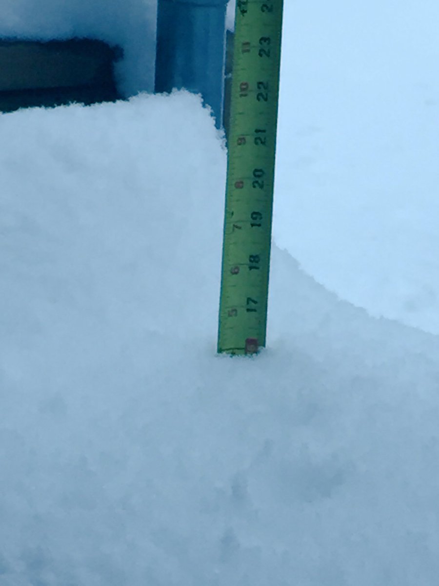ginnylou403's tweet photo. 40cm (16") of snow in Black Diamond, AB so far and it's still...coming...down...❄️😳 it was a great day for staying inside and reading books. These two yearlings passed by with their mom. #abstorm #Snowtember #fsd38 https://t.co/ikNMkAwTSB