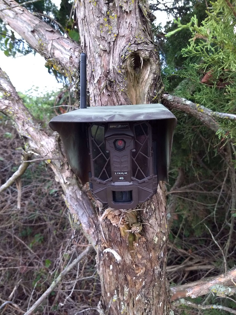 Donna_242's tweet photo. This cellular camera has been out all summer and it still looks brand new. Used a trailcamcover to protect it. If you want to protect your camera go to https://t.co/BF6Q60HFxu and order yours today #trailcamcover #cellularcamera https://t.co/ilBRUKvnxC