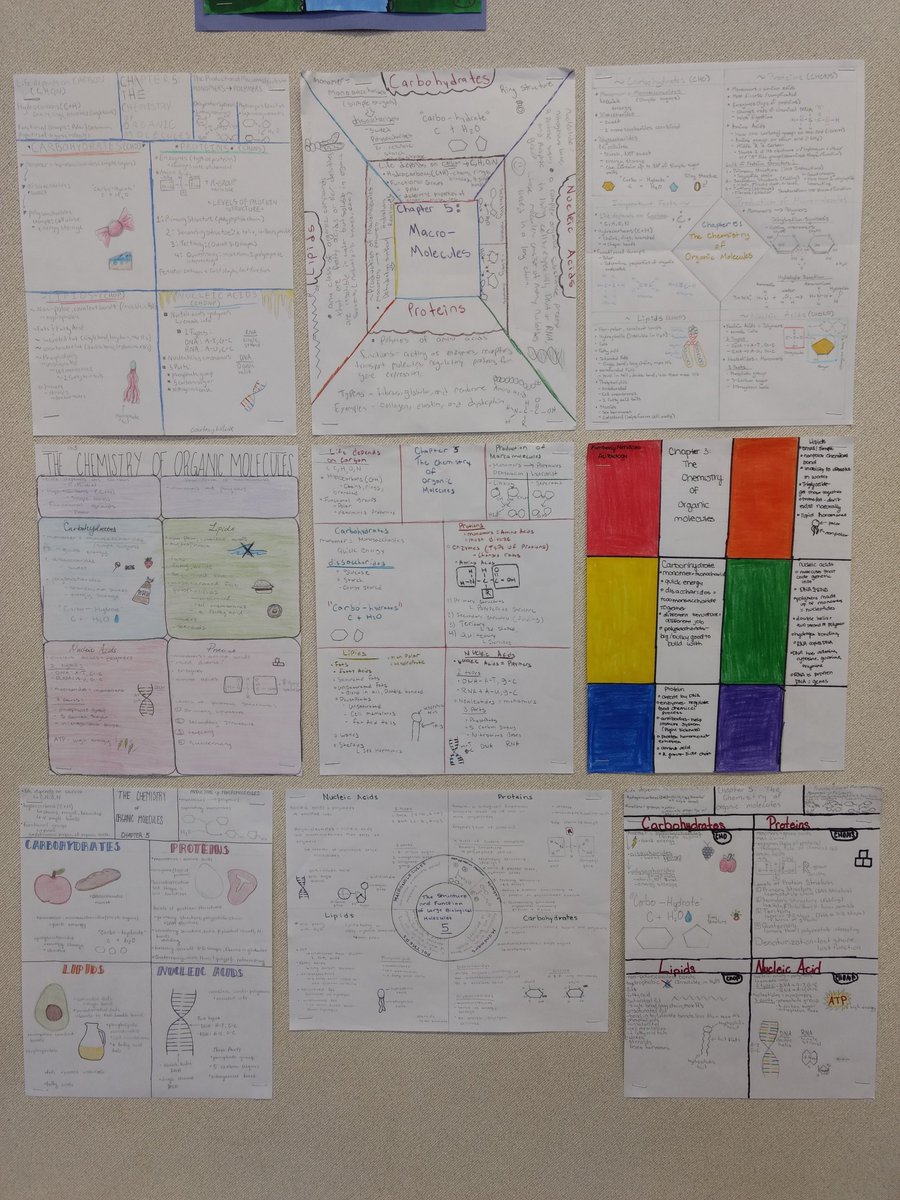 ElbertSara's tweet photo. More STEAM with "1 Pager" Graphic Organizers about Macro Molecules.  I am impressed with the variety and creativity.  Nice Work AP Bio students!  For more information on successful one pagers... https://t.co/ix9NdJ6uhB @TwinRiversUSD @Science_of_TR #teamTRUSD https://t.co/sAZAWAercZ