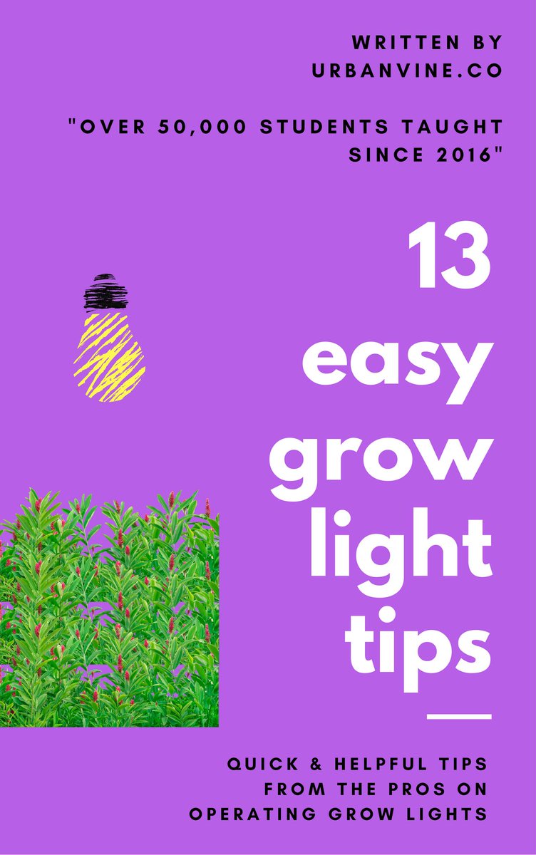 verticalgrower's tweet photo. Guides for indoor growers in 2019: https://t.co/fMQ3ihf7vn https://t.co/cyNVghWDaF