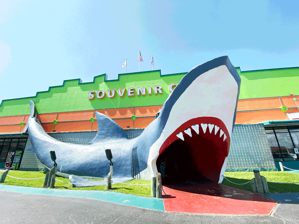 shannan_pan's tweet photo. Feels like there are infinite possibilities when it comes to activities in #GulfShores & #OrangeBeach!
Here are a few of my suggestions: https://t.co/LKn550cYfD
#keeponsummering #albeachblogger @visitalbeaches https://t.co/4DNOr6lCEz