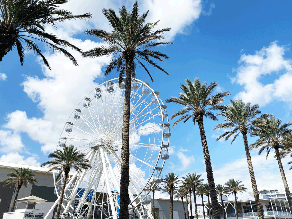 shannan_pan's tweet photo. Feels like there are infinite possibilities when it comes to activities in #GulfShores & #OrangeBeach!
Here are a few of my suggestions: https://t.co/LKn550cYfD
#keeponsummering #albeachblogger @visitalbeaches https://t.co/4DNOr6lCEz