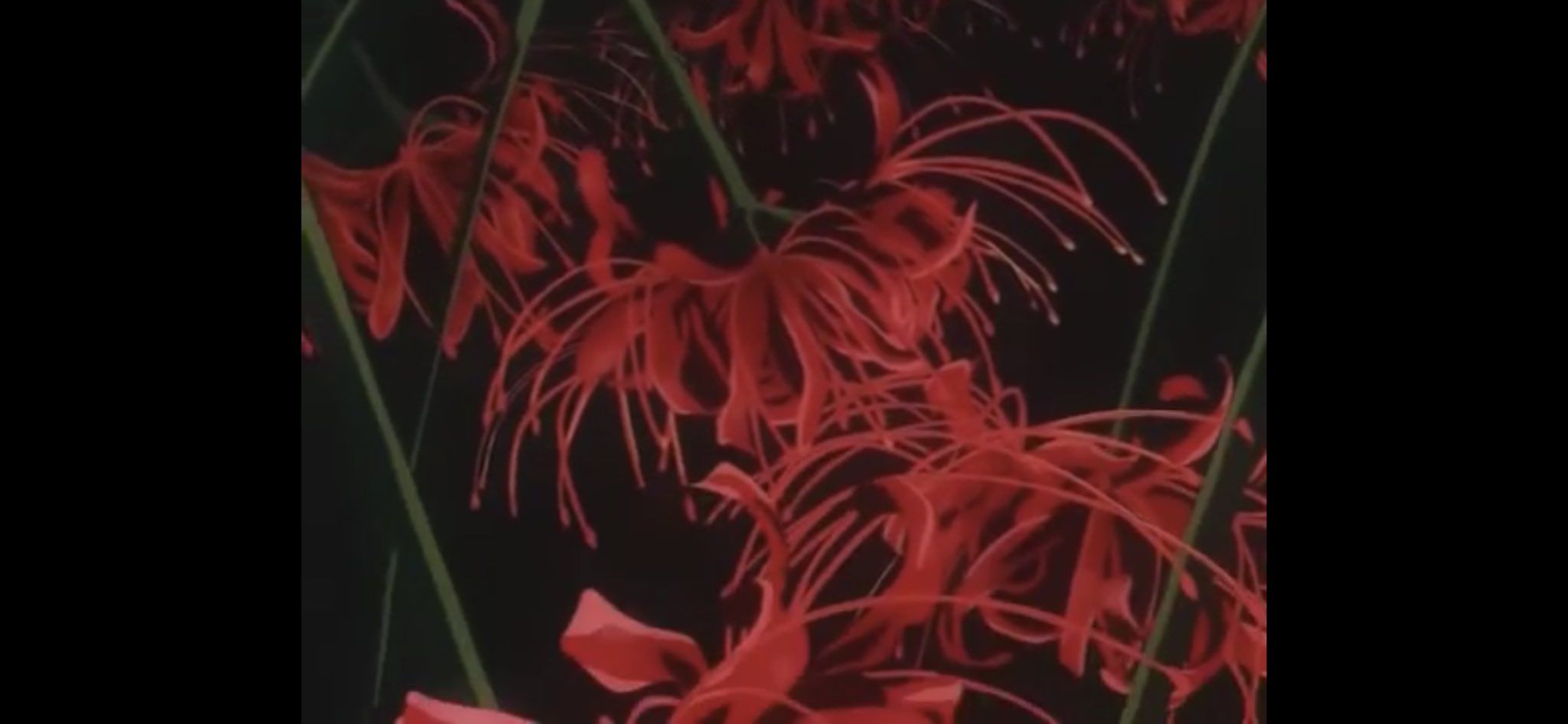 The red spider lillies 👌🏽👌🏽🔥🔥 i love inuyasha so much