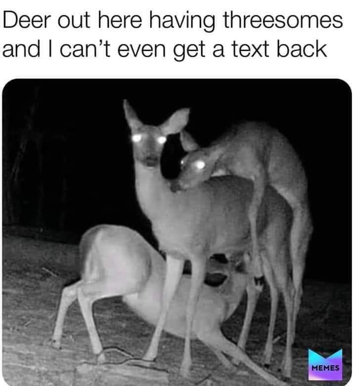 lyonsess's tweet image. 