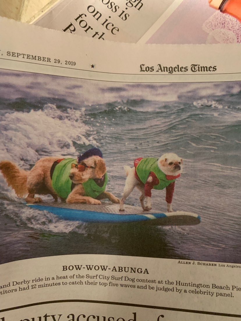 GidgetsFanPage's tweet photo. โI SEE SNACKIES!โ Thank You @latimes for the amazing post & @brettfragerofficial ๐ค๐ฆ for the photo ๐โโ๏ธ
Derby California
@SurfDogEvents
@latimes
#huntingtonbeach #surfdog #surfpug #tandemsurf #pug #doodle #mohawk #champions #topdogs #wsl #gidget #derby #teamgidget https://t.co/IkdVlQykXS