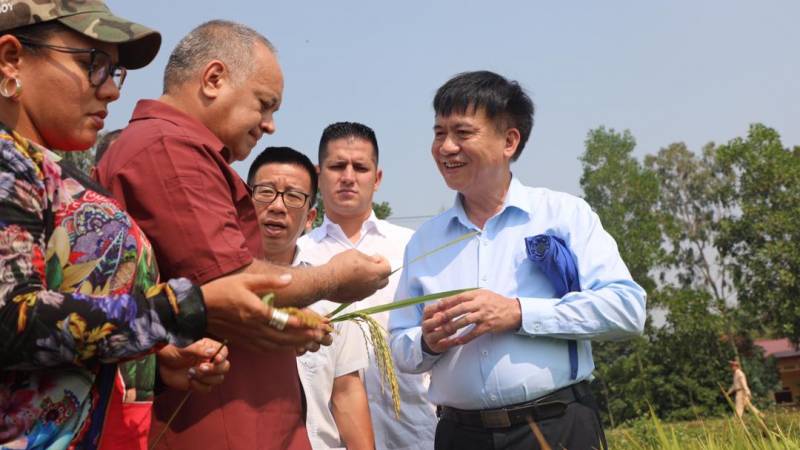 ¡Alianzas estratégicas! Venezuela y Vietnam potencian cooperación agrícola (+Cabello +video) mazo4f.com/205882  #LaVerdadDeVenezuelaEnLaONU #GuaidoParacoRastrojo