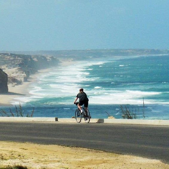 Roar Adventures tweet media