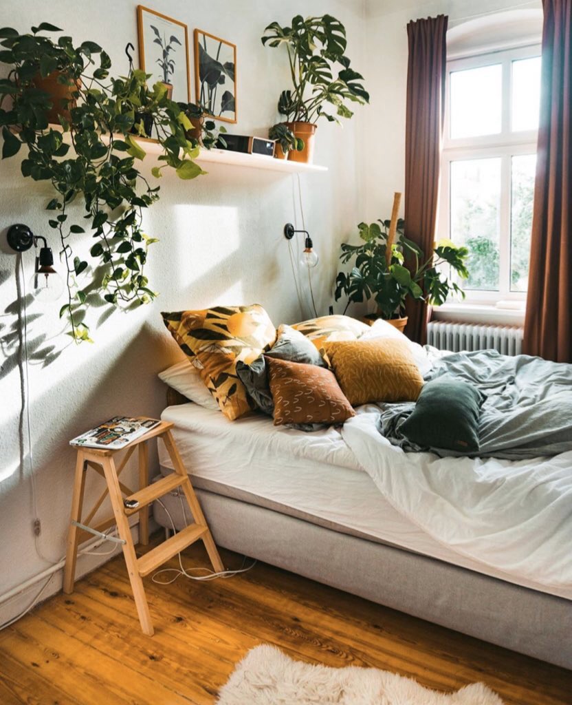 ahouseplanting's tweet photo. https://t.co/6Rf4t8mTnr
