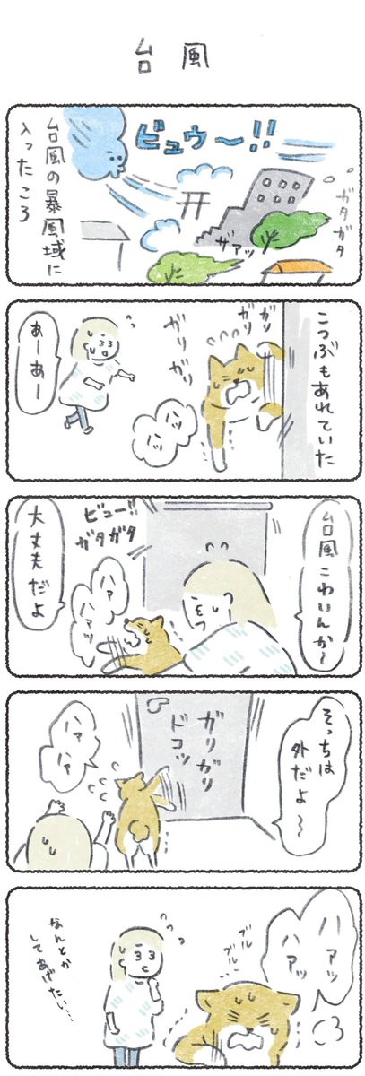 月曜はこつぶ新作の日?
(1週間無料でみれます)
つづきはこちらからぜひ!
→https://t.co/vvO3ph9fF2
これまだ先週のできごとなんだけど…
もう次の台風がきてるだって!??
#漫画 #マンガ #エッセイ #柴犬