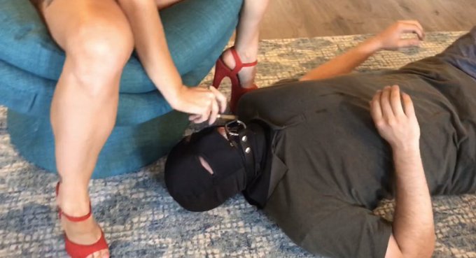 That time I made Henry My ashtray and spittoon. ☺️🐶   📸: @PamMorrisonXXX https://t.co/XnjPOe7vfS