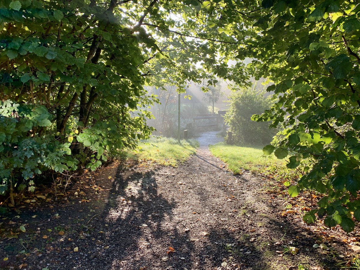 Lovely #autumnal morning