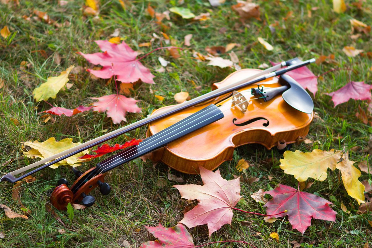 BDProads's tweet photo. *Fall* in love with live music at tomorrow's #AutumnConcert. π Featuring music, to leaf you smiling, by...
π» Bristol's #RecoveryOrchestra
πΆ And @RisingVoicesUK #RecoveryChoir
βͺοΈ At St Ambrose Church, BS5 7AN #Bristol
π On Tue 01 Oct | 6-8pm
https://t.co/IAtqqJIVy6 https://t.co/0mnLeEx54B