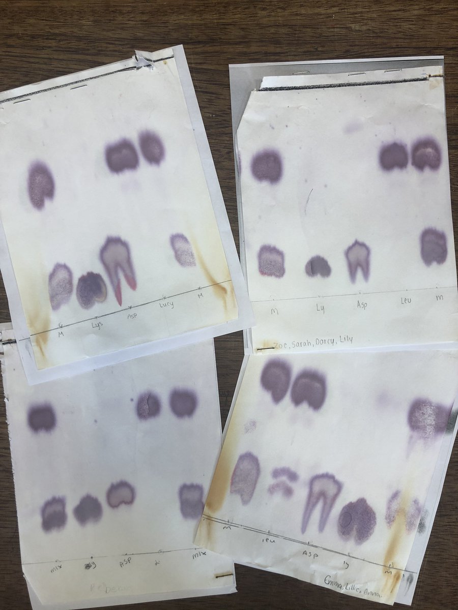 glenlolabio's tweet image. Y13 chromatograms #ccea #requiredpractical