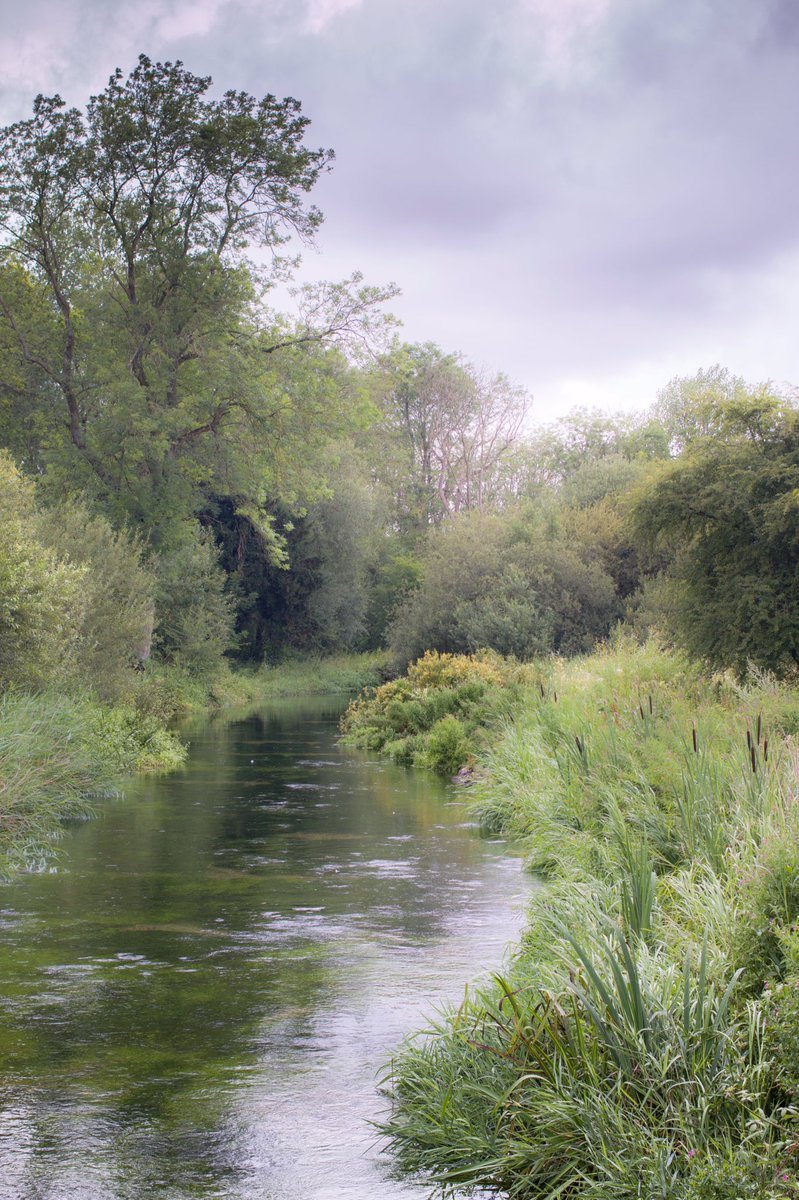 @unisouthampton @sotonbiosci @SotonPsych @SotonEnvSci @UoS_SocSci @SotonPhilosophy @UoSDocCollege @PhDsofSoton @sotonbsps @EPRG_Surrey @NaturalEngland @EnvAgency @wwf_uk @HMWTBadger @BBOWT @WildTroutTrust @WessexRivers @HIWWTPeople @VerValleySoc @RiverChess @Feargal_Sharkey @smirescost @DryRiversRCN @1000IRP @UKGWForum @GeoscienceEA @GroundwaterMike @iahgroundwater @UNIGRAC @BGSGroundwater @AboutDrought @Project_DRY @GDI_Europe @Ofwat @AffinityWater @BlueHealthEU @ValuingN @LoveWaterUK @ChilternsAONB @sdnpa 15/15   I look forward to working with people & orgs who care passionately about their chalk streams, winterbournes #IRES & aquifers #groundwater #PublicHealth #bluehealth #wellbeing #natureconnectedness #naturalhealthservice #envpsych #dryrivers #waterabstraction #climatecrisis