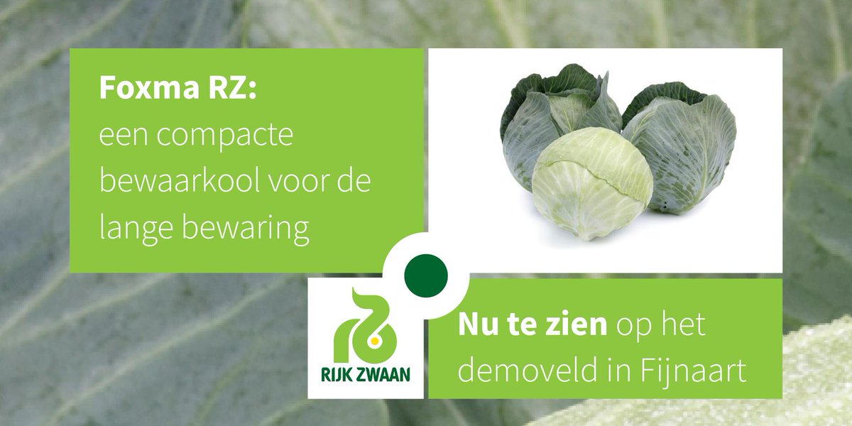 #sharingahealthyfuture #innovatie #nieuw #sluitkool #demofijnaart
 rijkzwaan.nl/demodagen-fijn…