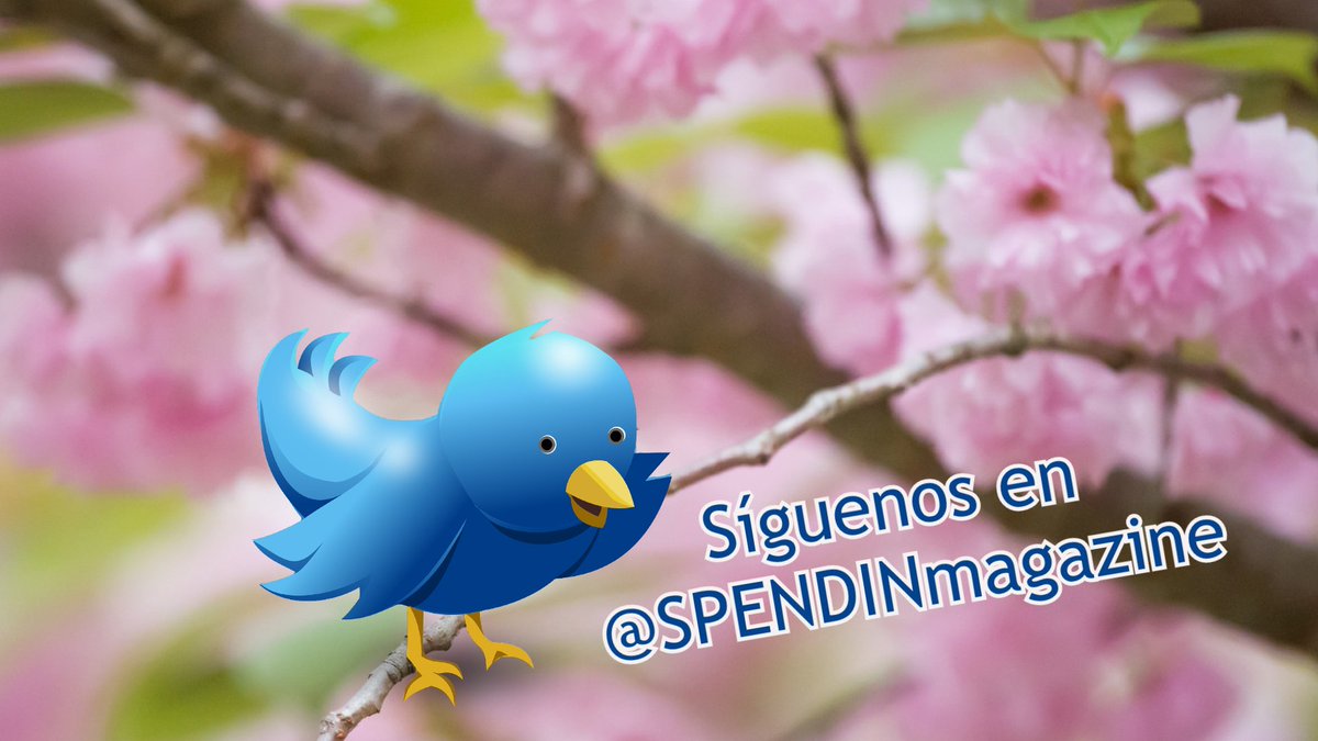 Esta cuenta permanecerá sin actualizar durante los próximos días. Si no quieres perderte nuestras novedades, síguenos desde <a href="/SPENDINmagazine/">SPEND IN</a> ¡Gracias!
