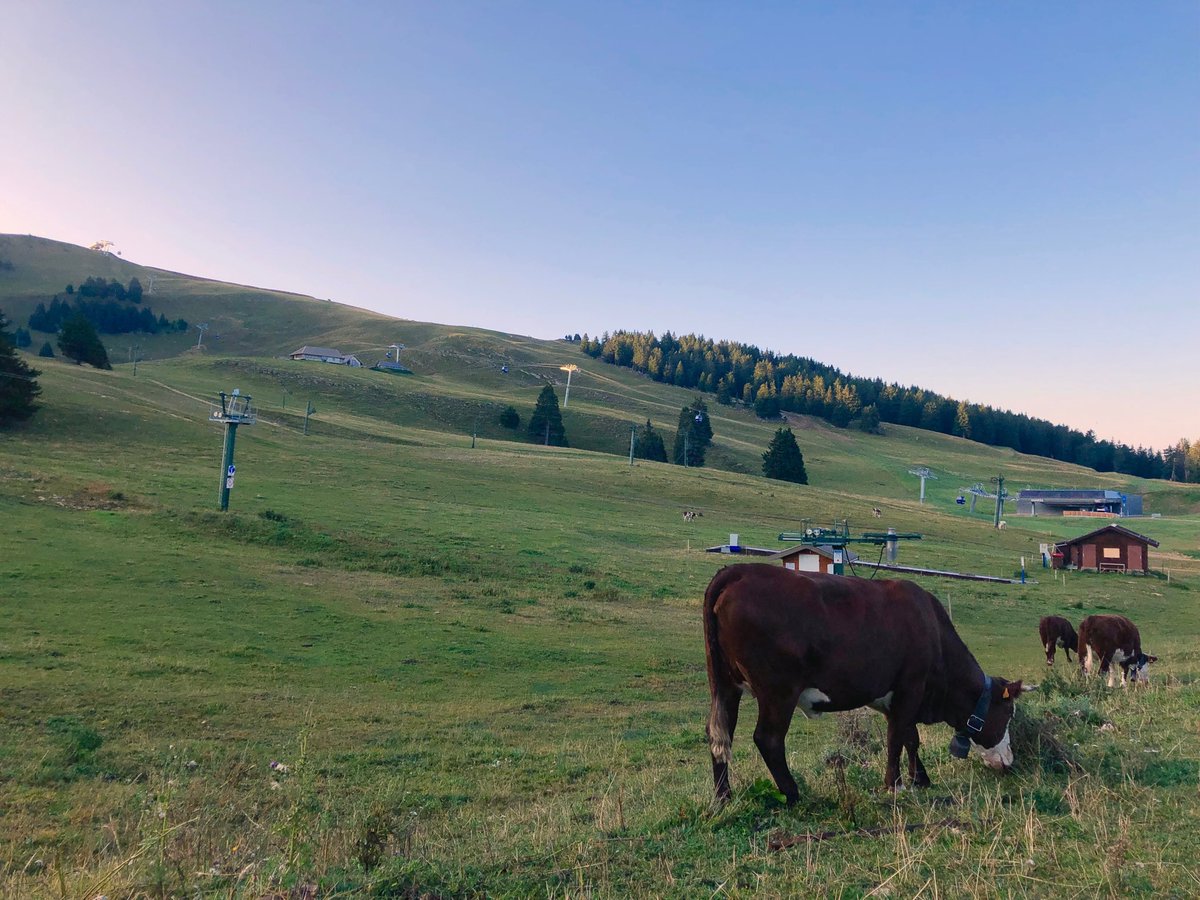 5220 vaches chefs d’entreprise se sont retrouvés la semaine dernière à #Annecy pour la convention ⁦@tweets_Apm⁩ pour faire progresser le #management. Nous y étions !