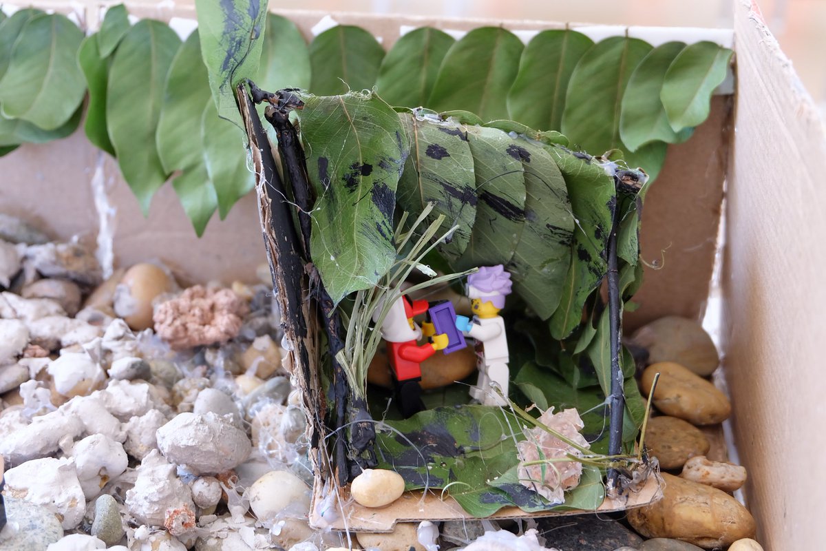 pislaos's tweet photo. Brilliant #recycleprojects by Yr 5 &amp; 6 last week for geography and history focused @The_IPC Units, 'Building a Village' &amp; 'The Great, The Bold, The Brave' - so engaging to hear how they would improve their projects to become #sustainable settlements! #UNSDGs #proudtobePIS https://t.co/4f7Nb3j1DF
