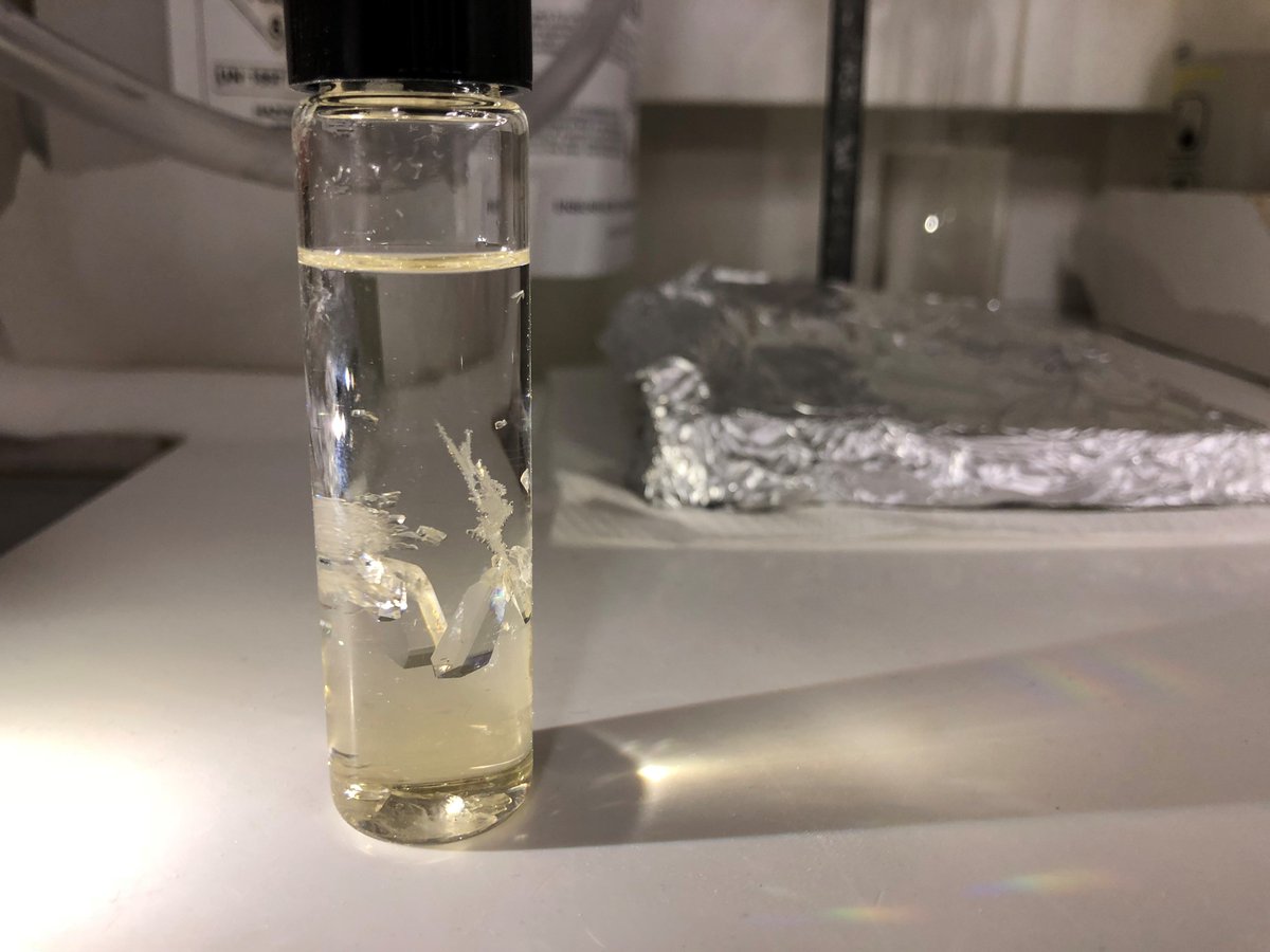 Tried purifying a compound by crystallisation. Never thought they would grow so big! <a href="/CNBPscience/">CNBP</a> #aestheticchem #AbellLab #cnbp2019photocomp