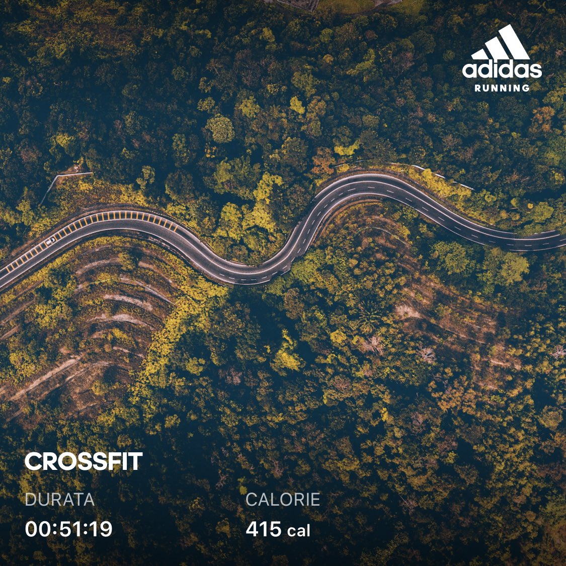 VentoLoris's tweet image. 