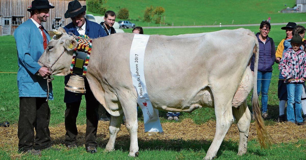 Spieglein, Spieglein an der Wand - Wer ist die schönste Kuh im Toggenburg! Die #Viehschau in Alt St.Johann ist der Kultanlass für die Bauern zwischen Säntis und Churfirsten! Grosses Volksfest inklusive!
Nur 1.10.19.
<a href="/toggenburg_ch/">Ferienregion Toggenburg</a> 
bit.ly/2nIho1Z