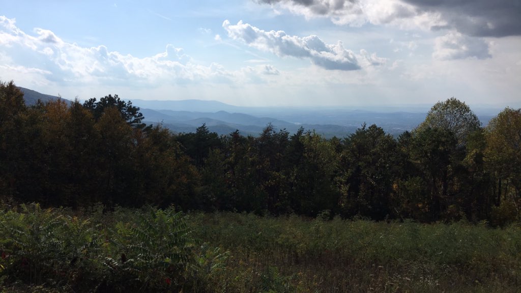 Jake Edwards tweet media