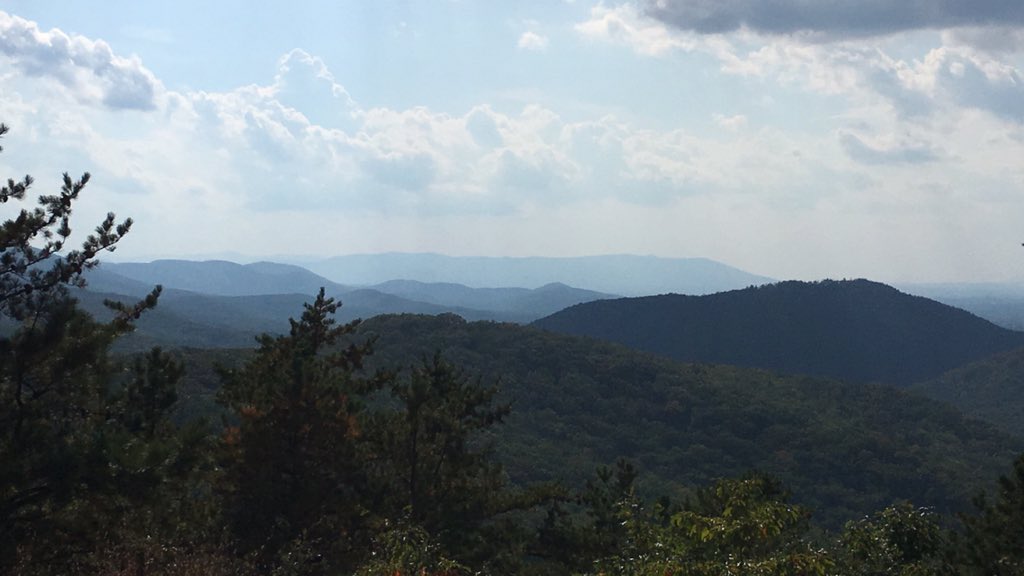 Jake Edwards tweet media